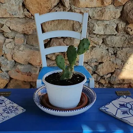 Villa Dammusolevantelampedusa *